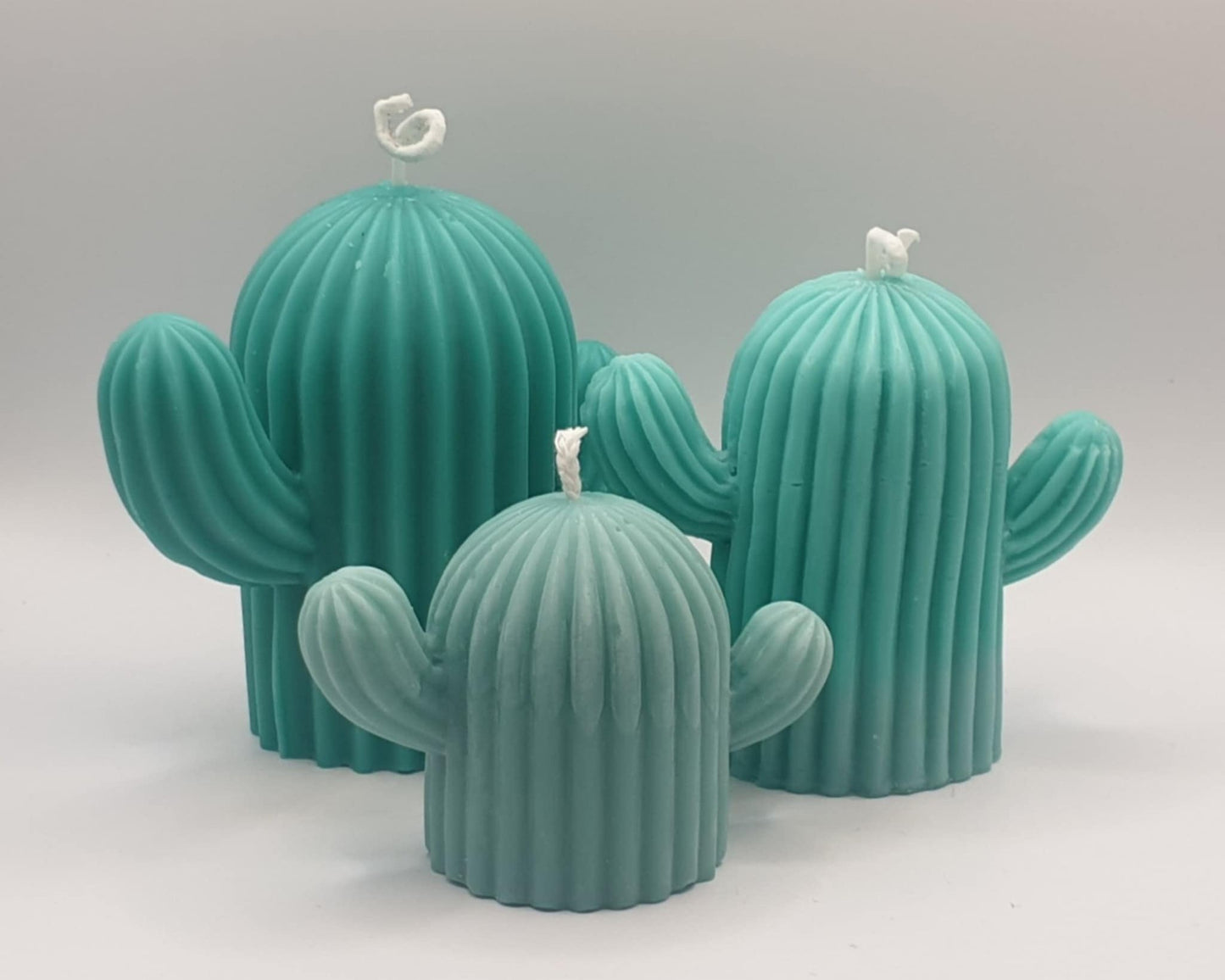Large Cactus
