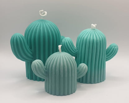 Large Cactus
