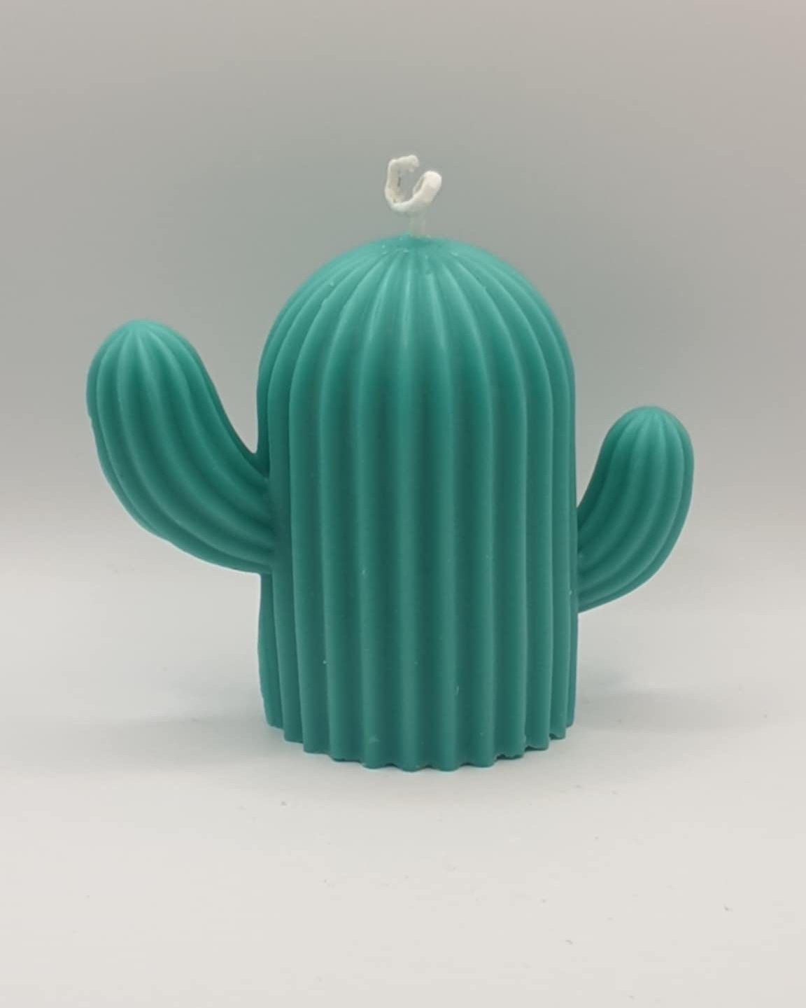 Large Cactus