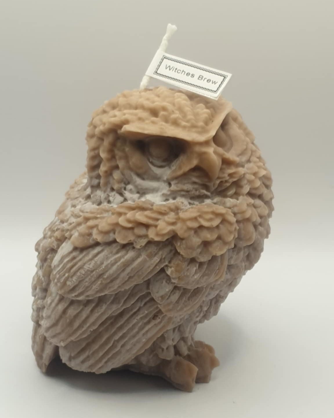 Perched Owl Candle